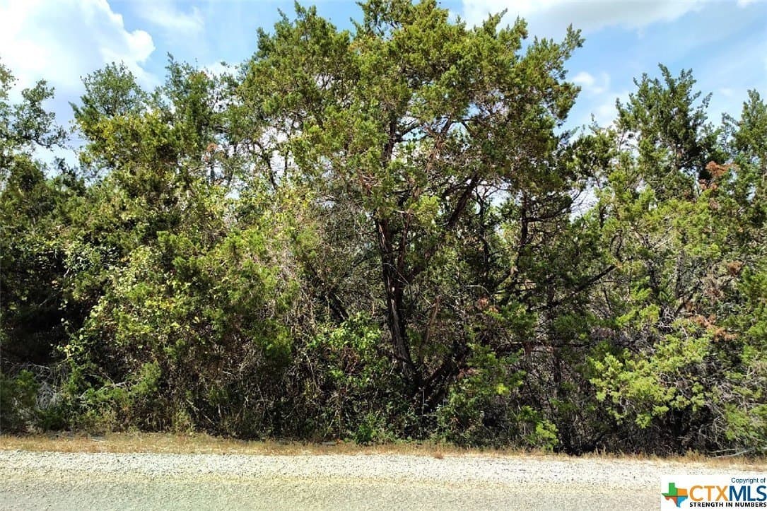1146 ZANE GREY Lane lot: 19