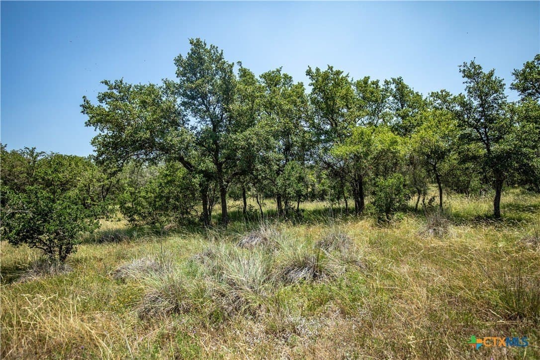 137 Steel Creek Crest