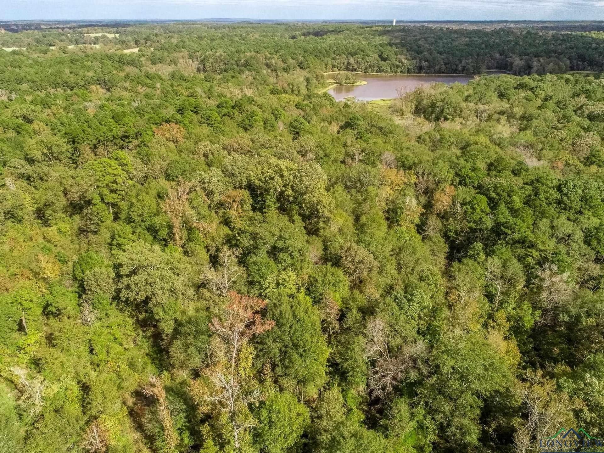 13.3 Ac MYRTLEWOOD TRAIL