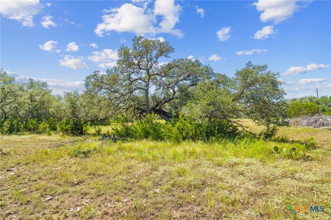 Heartleaf Drive lot: 170