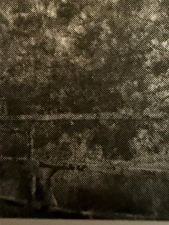 190 SANTOS RD lot: Tr 24, 25