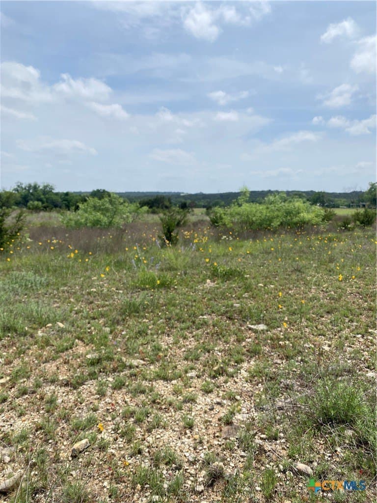 225 County Road 2227 lot: 3