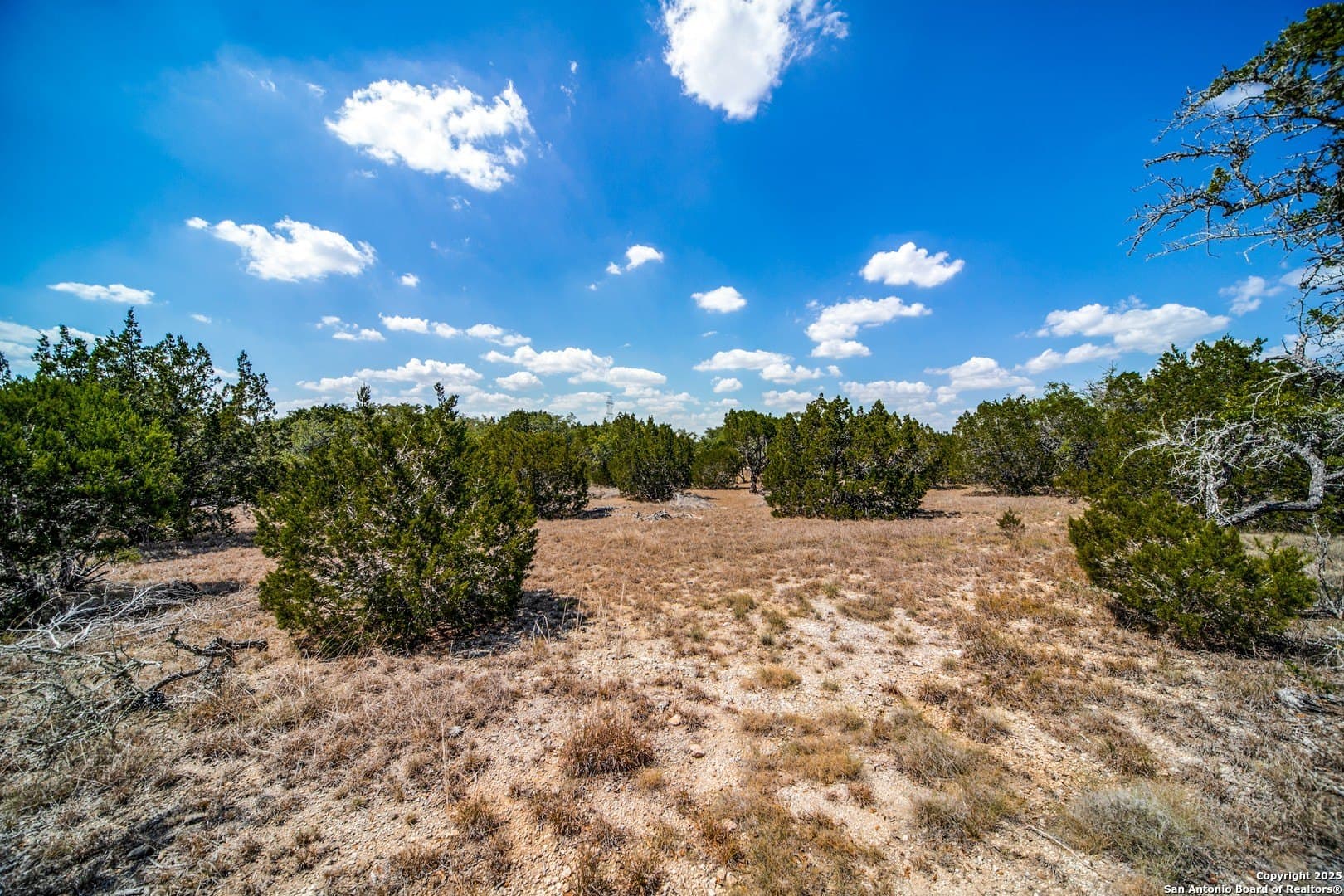 972 Scarlett Ridge