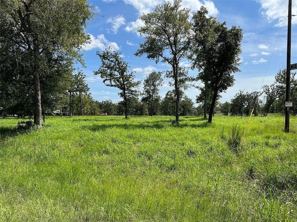 00 Hickory Loop