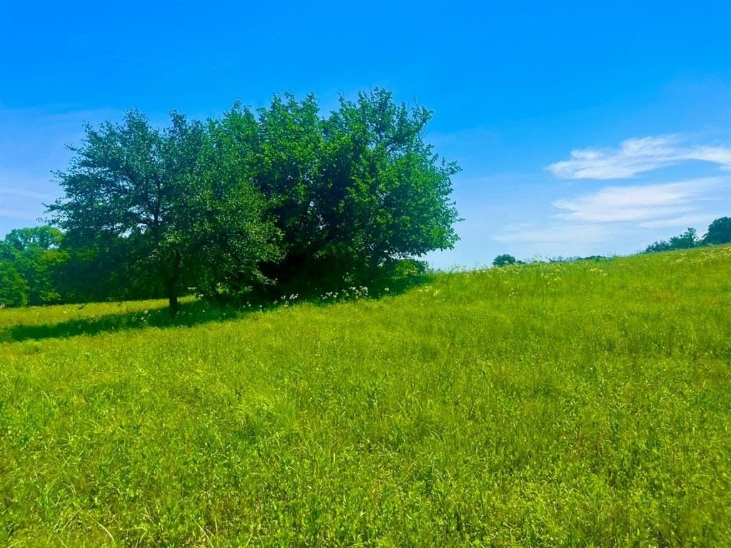 Lot 102 Arlow Road