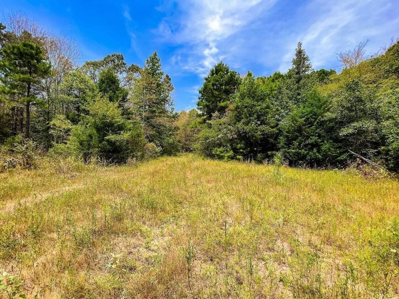 Tbd County Road 4606