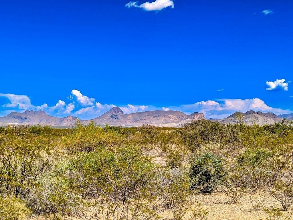 16320 Javelina Run