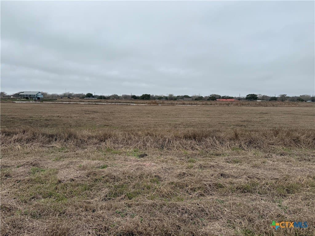 Puppy Drum Lane lot: 59