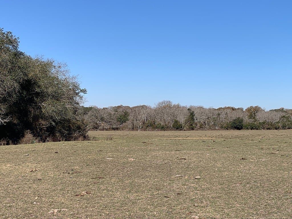 TBD County Road 253
