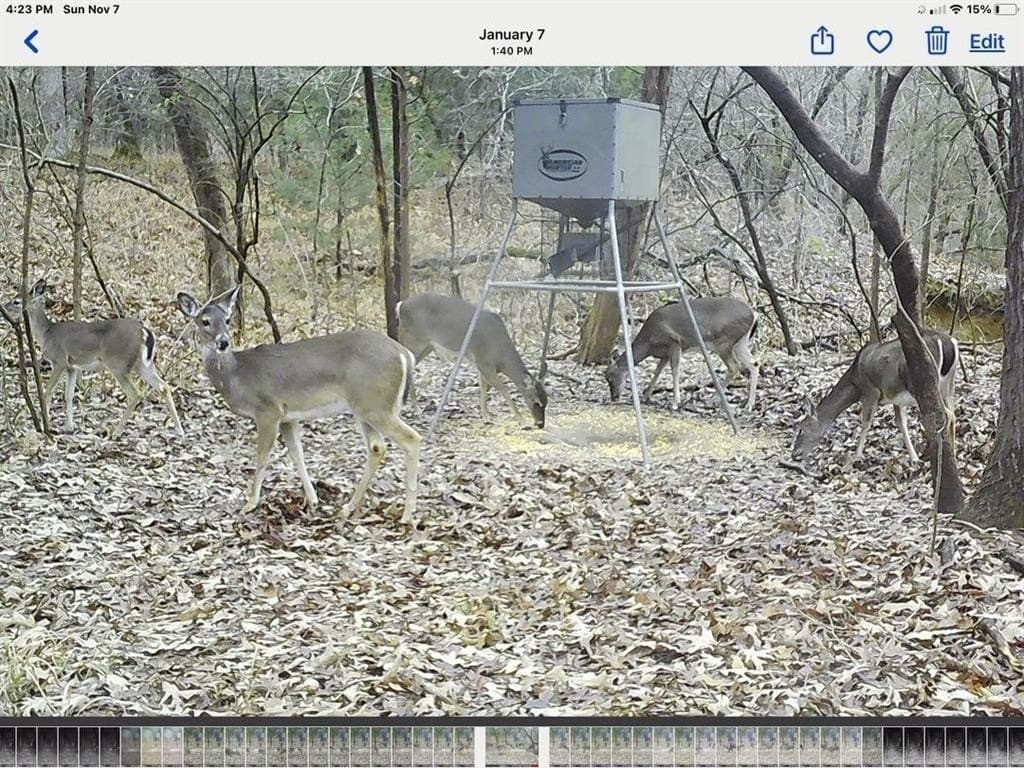 37100 County Line Road