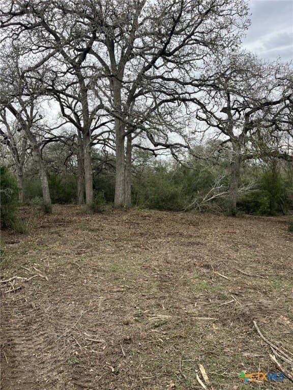 164 County Road 187 lot: 0