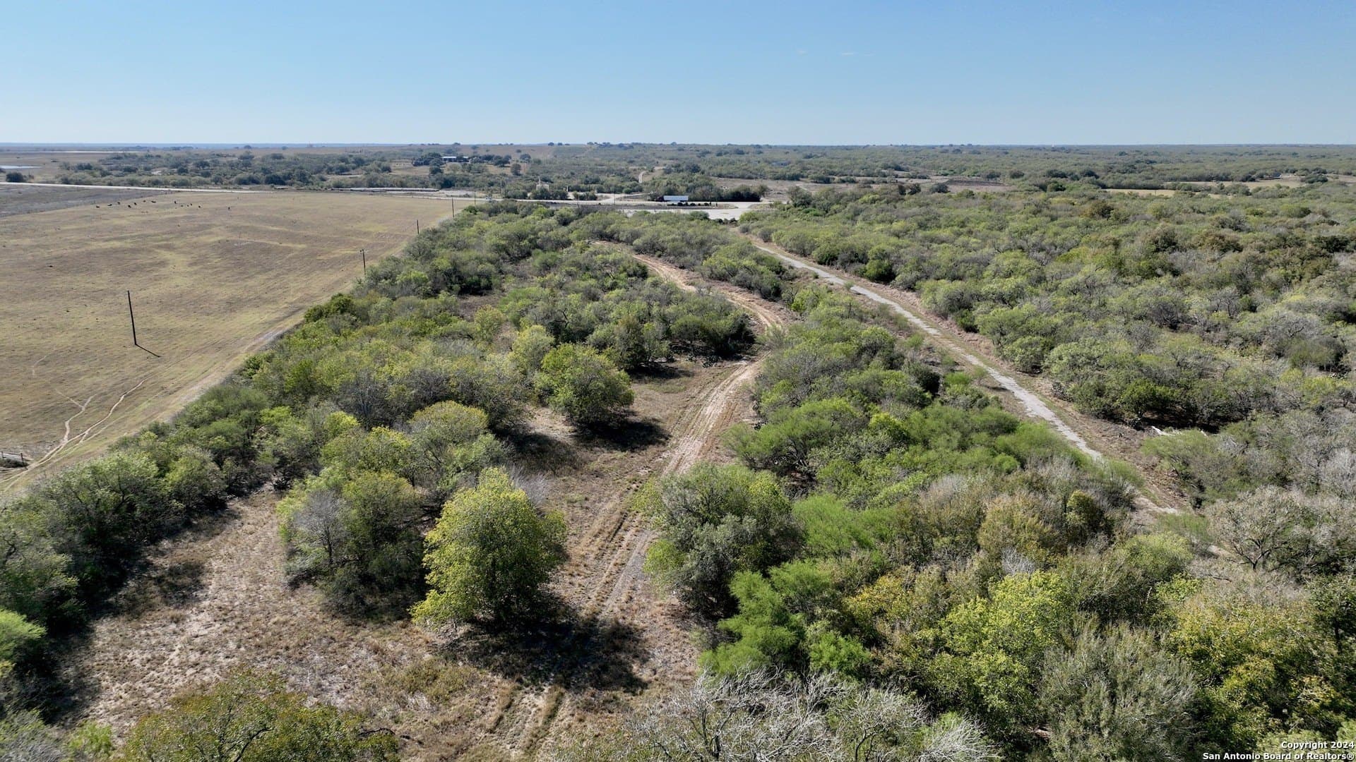 64 Acres SH 123