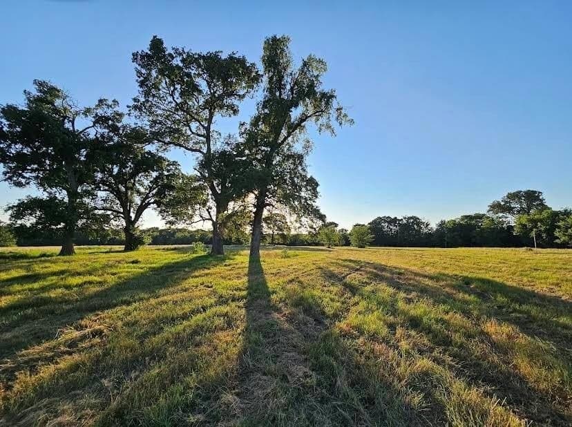 Tbd County Road 3512