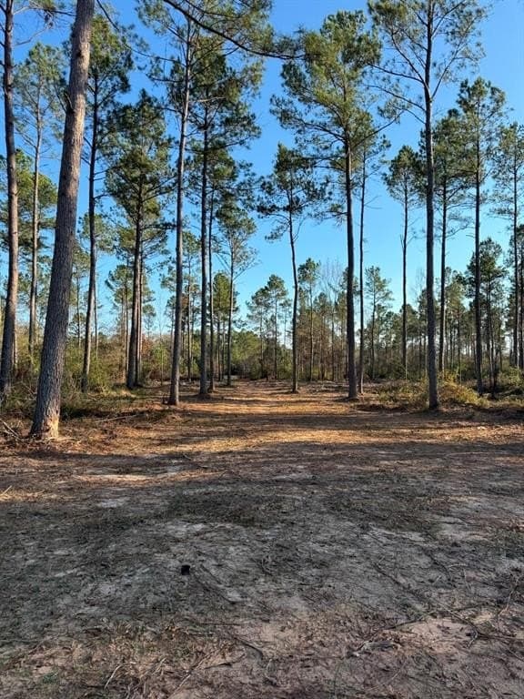 Tbd-b County Road 216