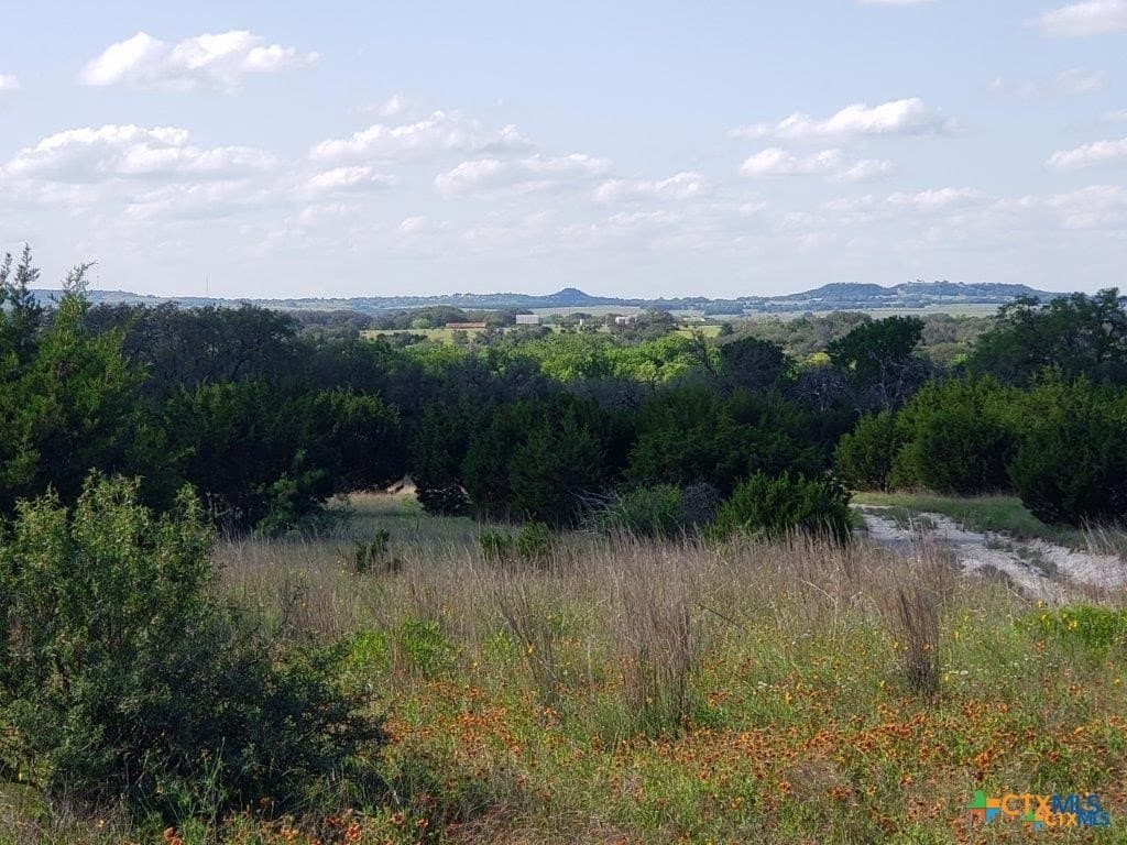 County Road 1255 Pitt Creek Ranch lot: 4