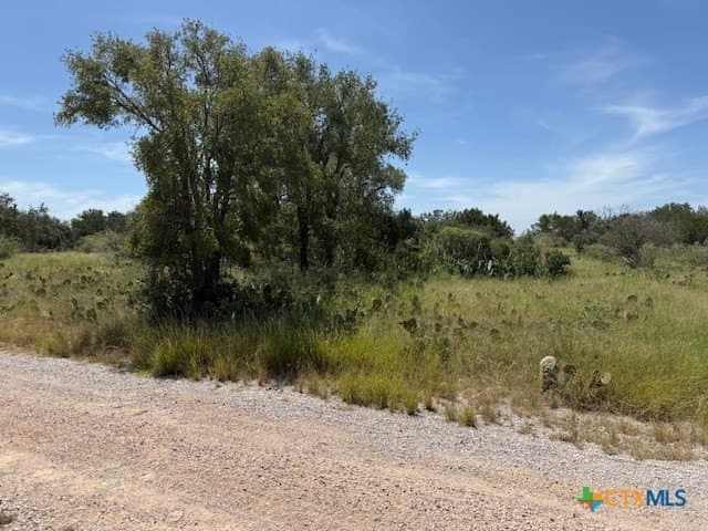 112 Chappel Street lot: 160