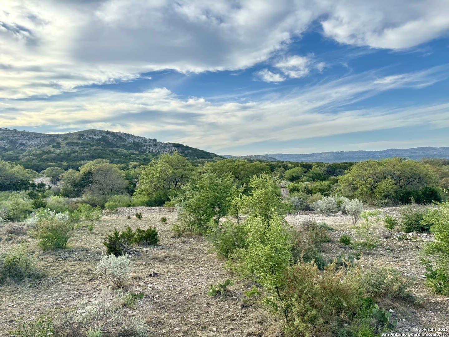22819 State Highway 55, Lot 17