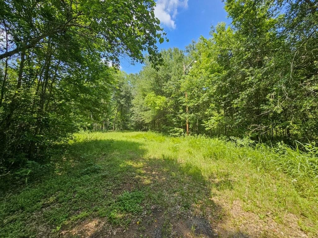 119 Kickapoo St