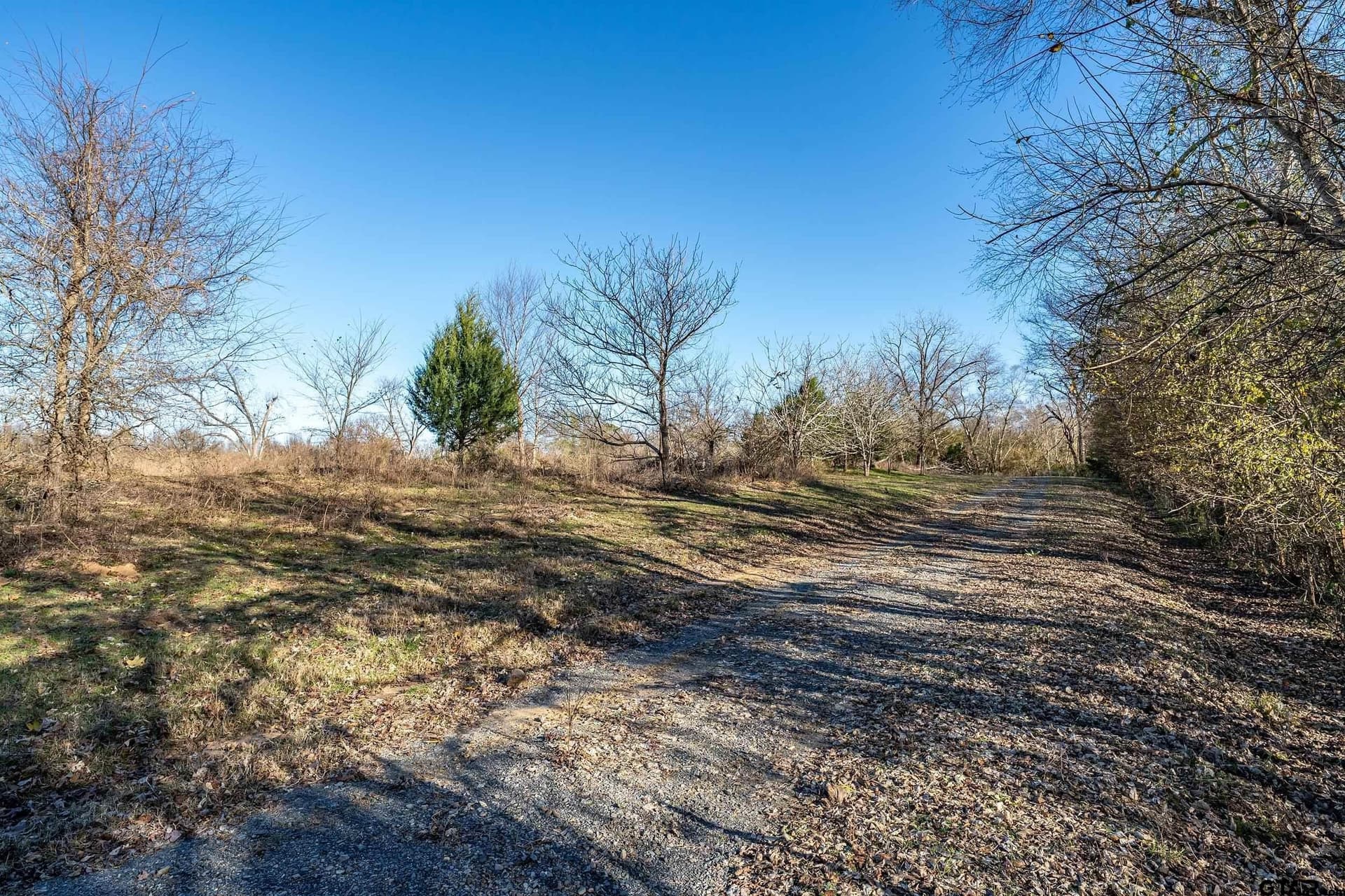 14461 County Road 46 (Lot 2)