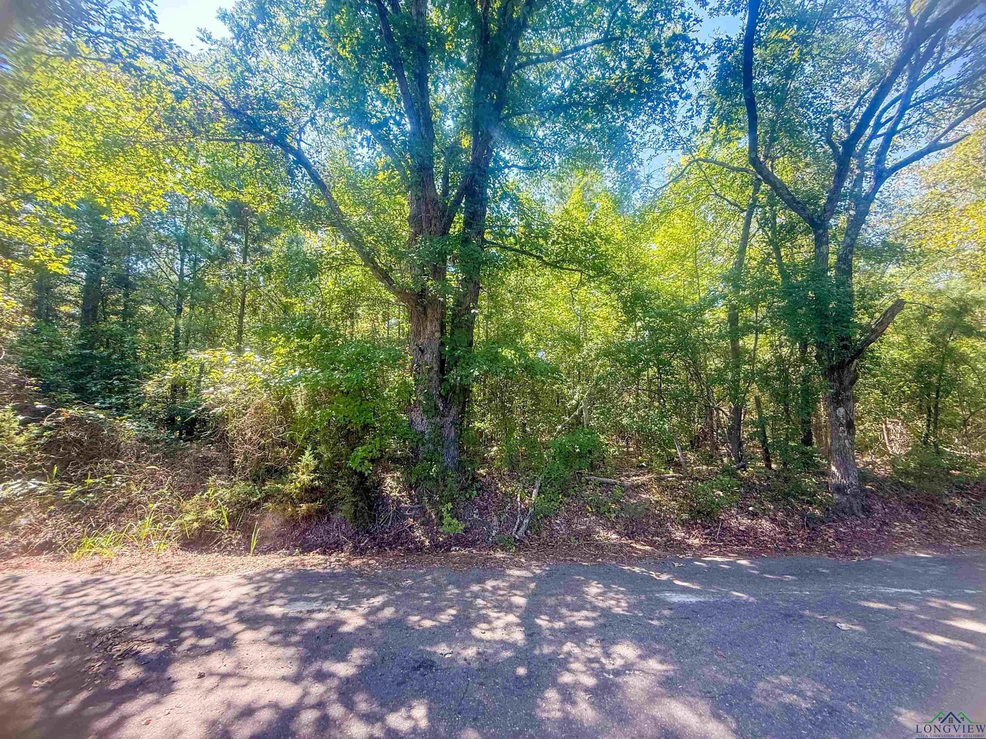 Tbd JONQUIL RD