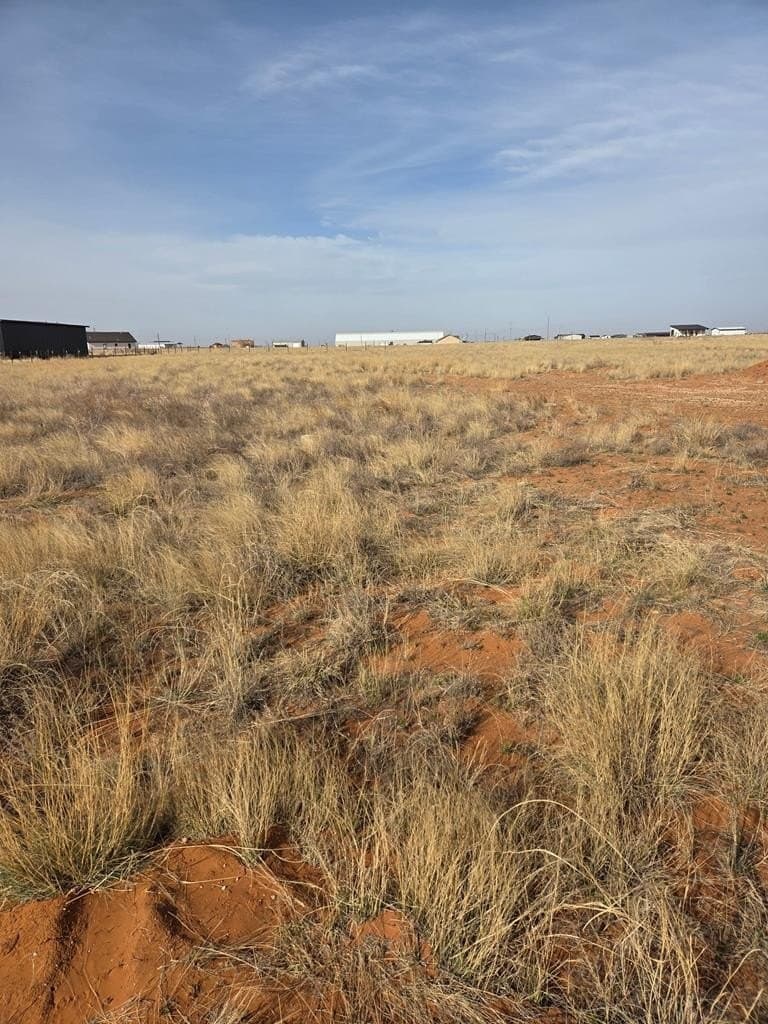 County Rd 305