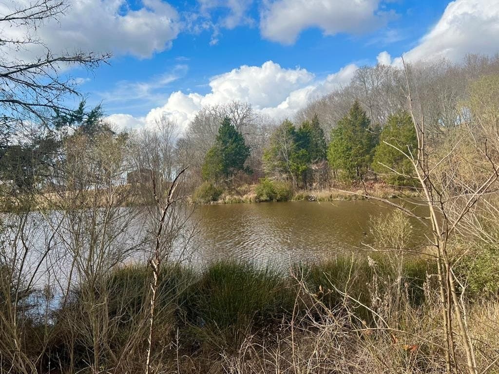 Lot 175 Rolling Hills Ct