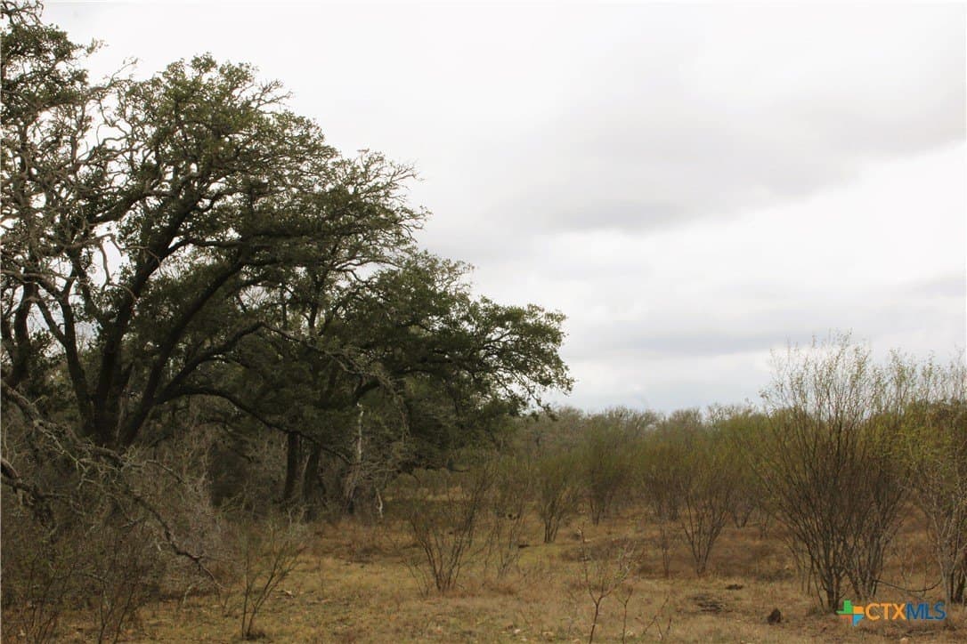 FM 3353