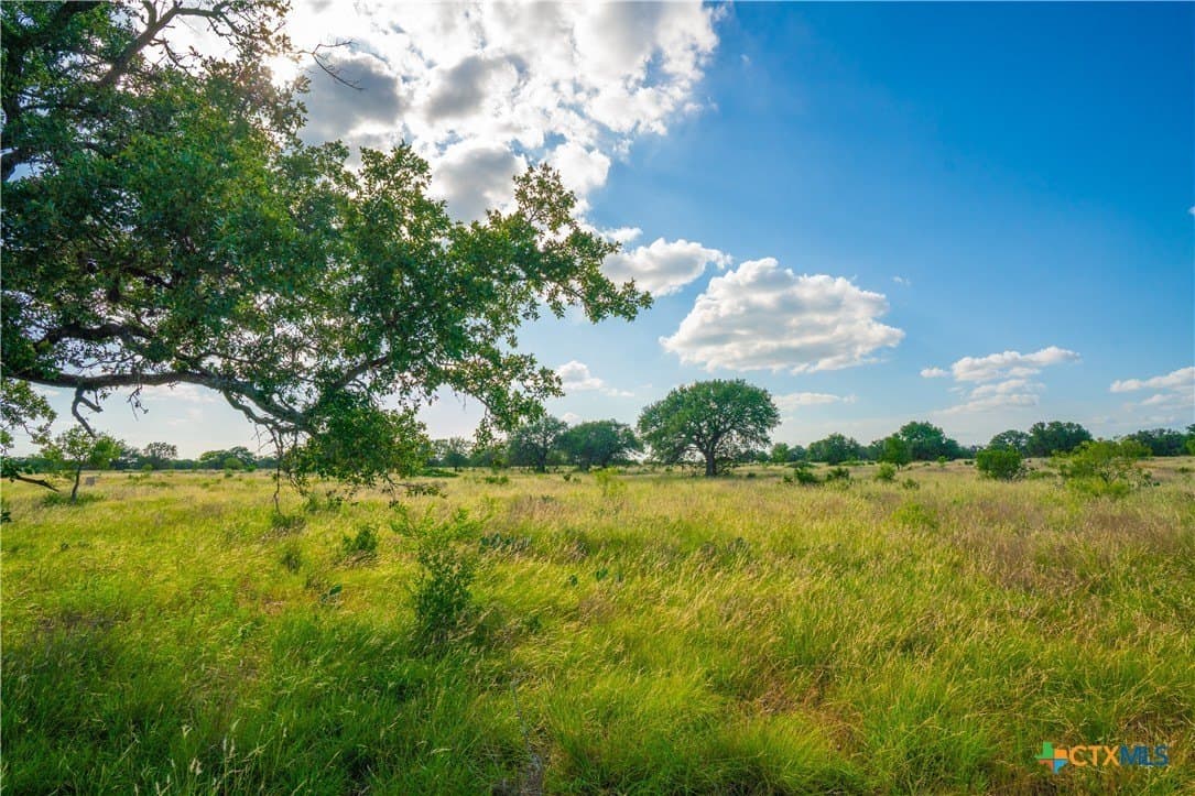 Vintage Oaks