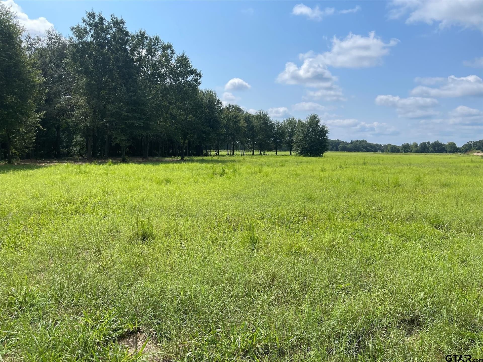 Tract 1 US HWY 175