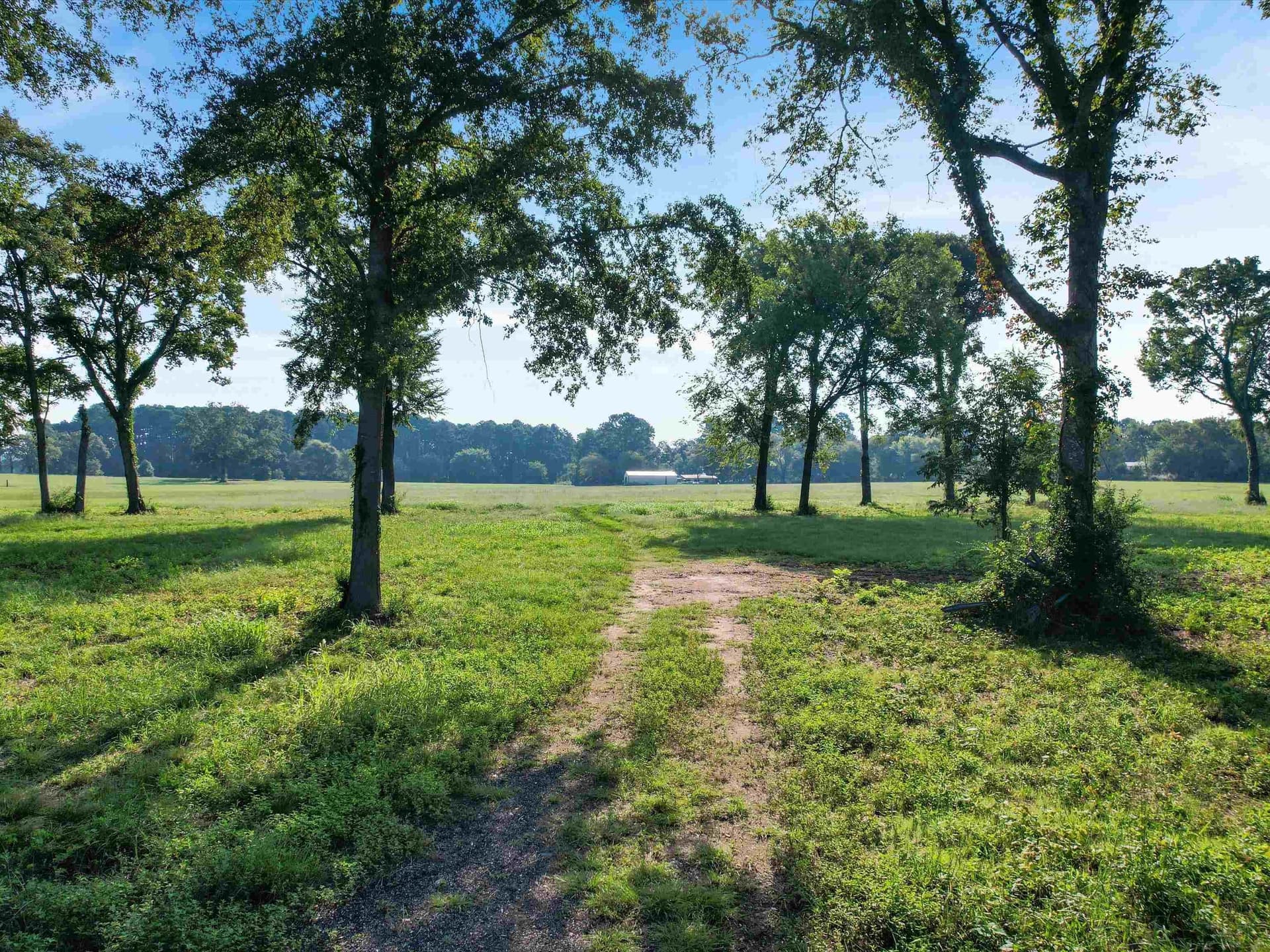 99 COUNTY ROAD 2225