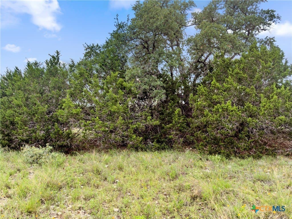 141 Vista View Place lot: 2214