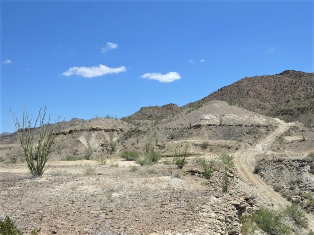 TR: 310 Private Rd