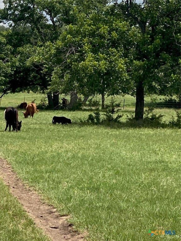 2029 County Road 200