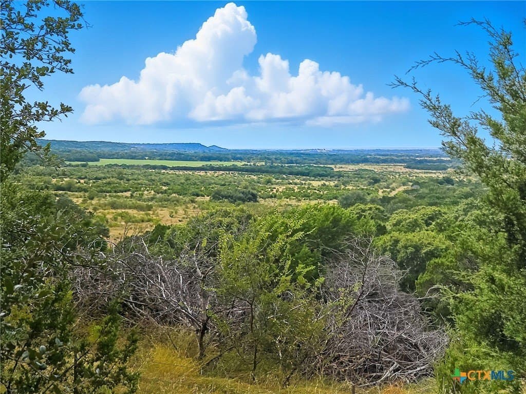 TBD-482 Acres W Fm 217