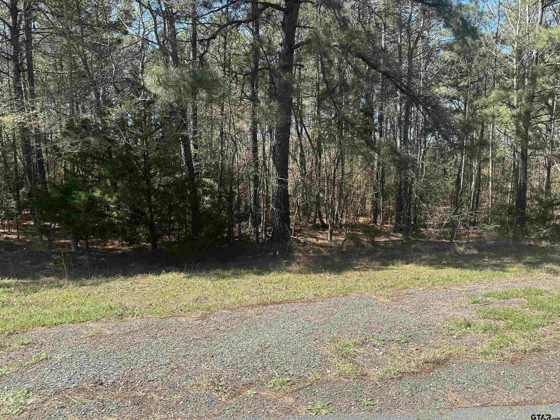 411 Cherokee Cove Dr.
