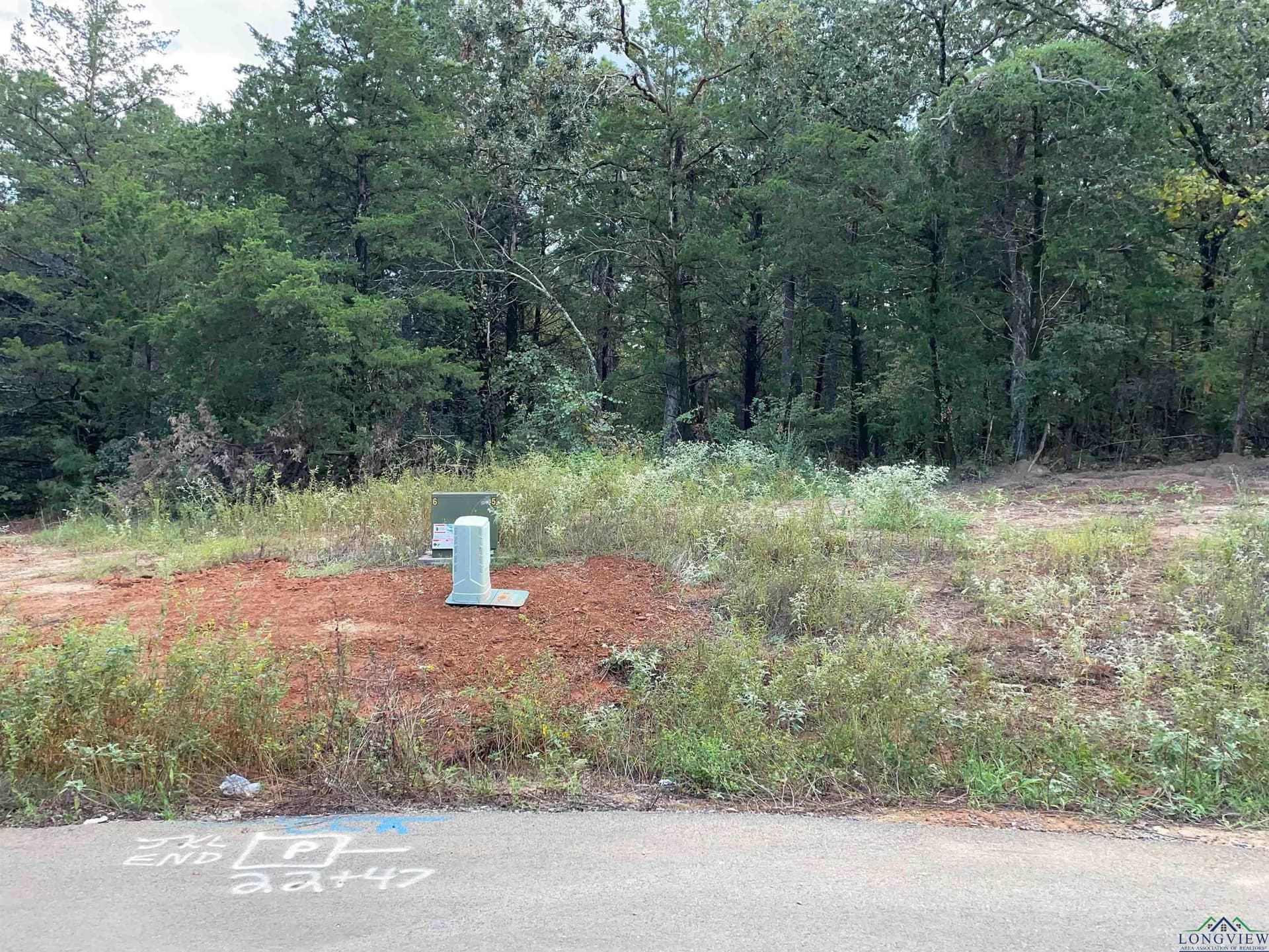 Tbd Cedarpark Place Lot 21