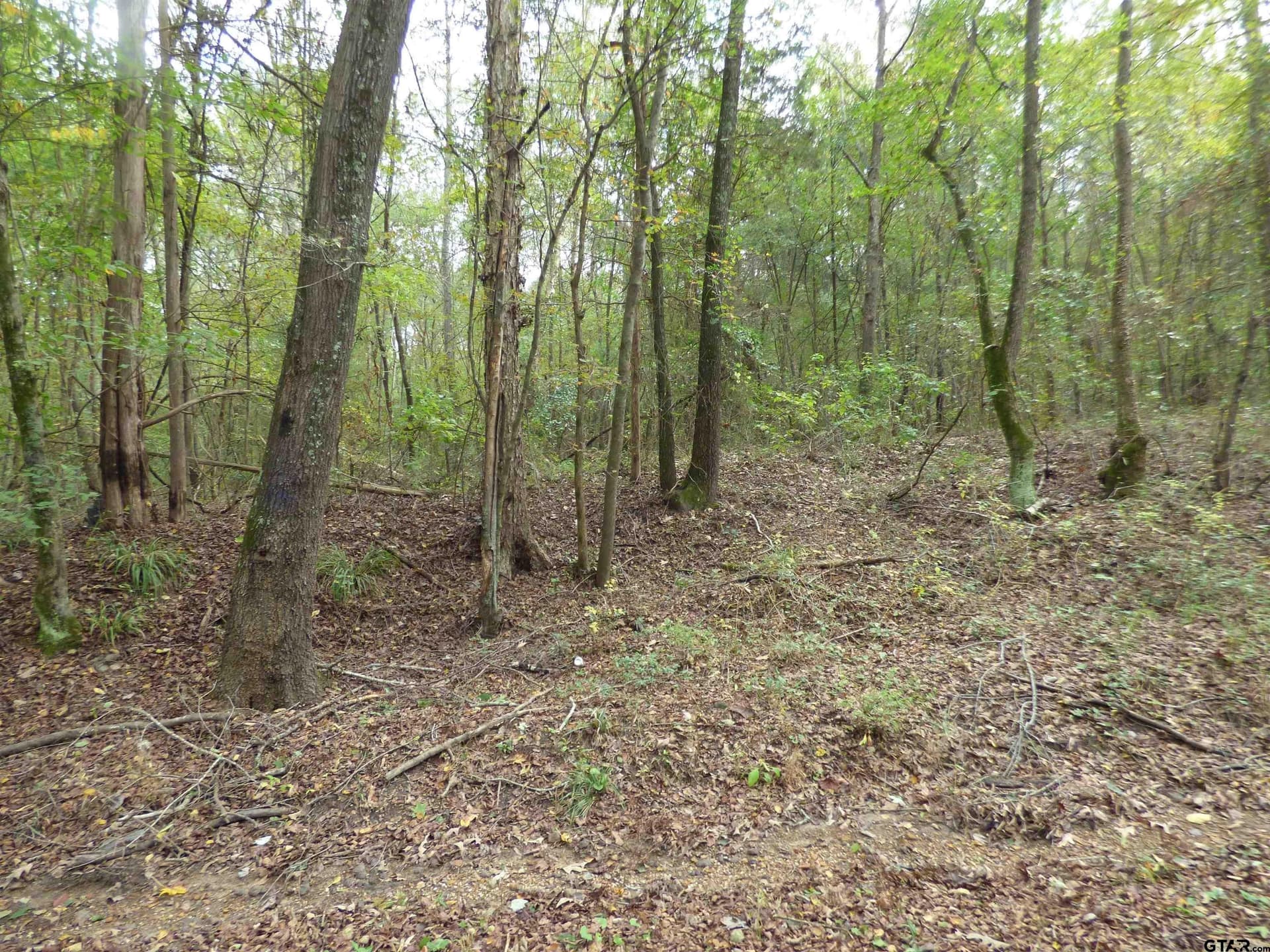 9371 County Road 3416