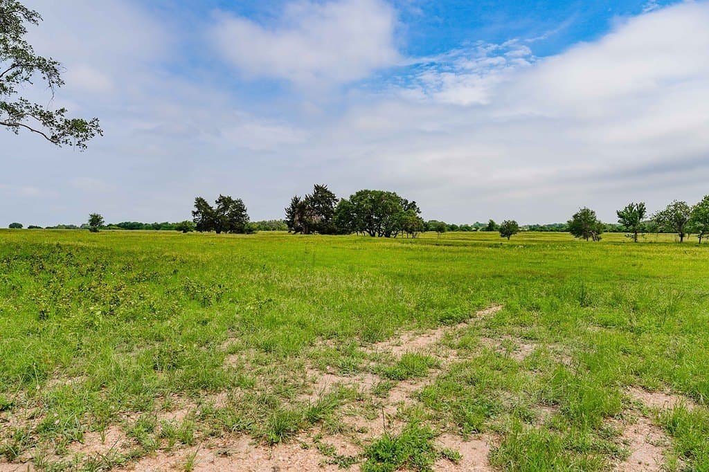 Tract 1 Farm to Market Road 1291