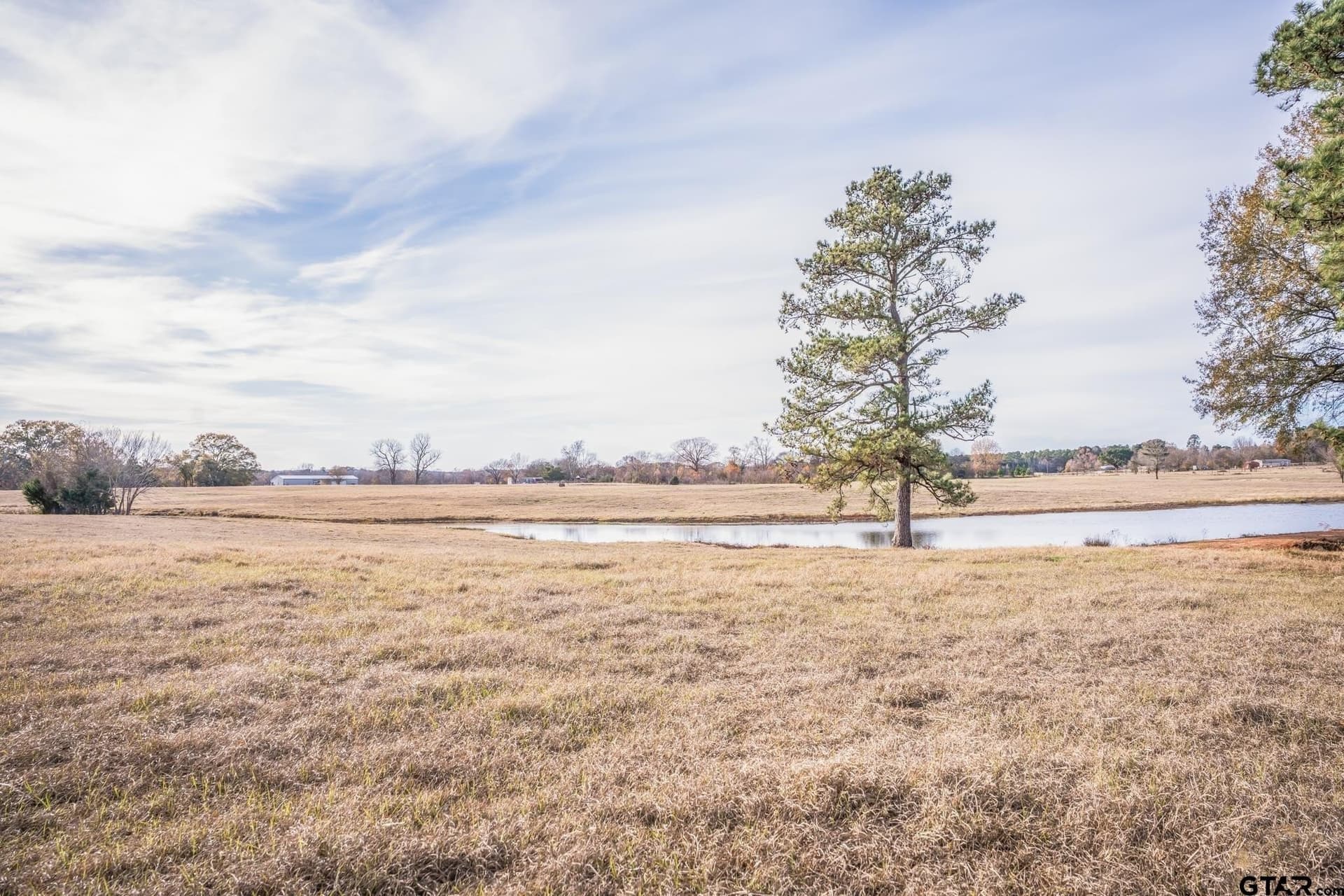 3250 FM 22 - 82.91 acres