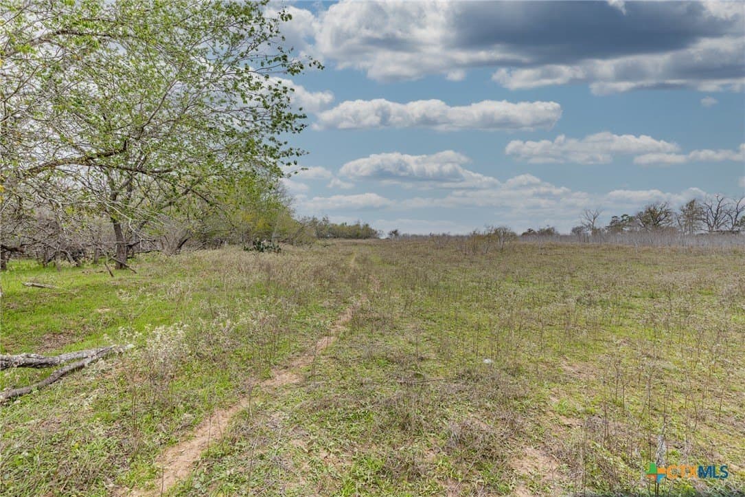 County Road 157