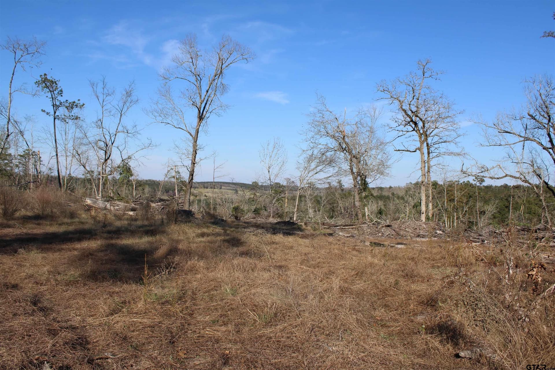 TBD CR 1627-34 acres
