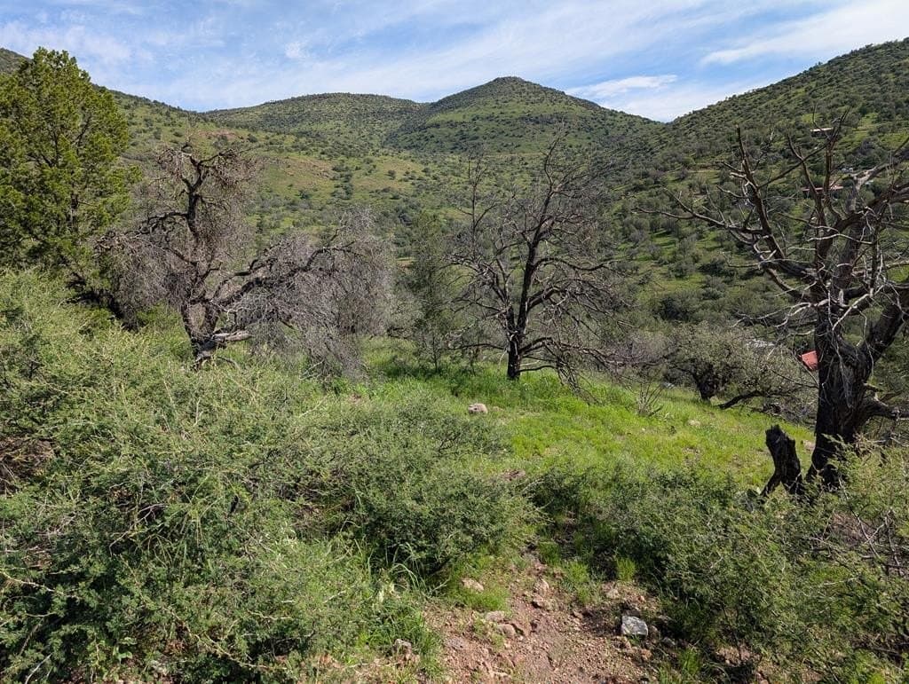 101 Tejano Canyon