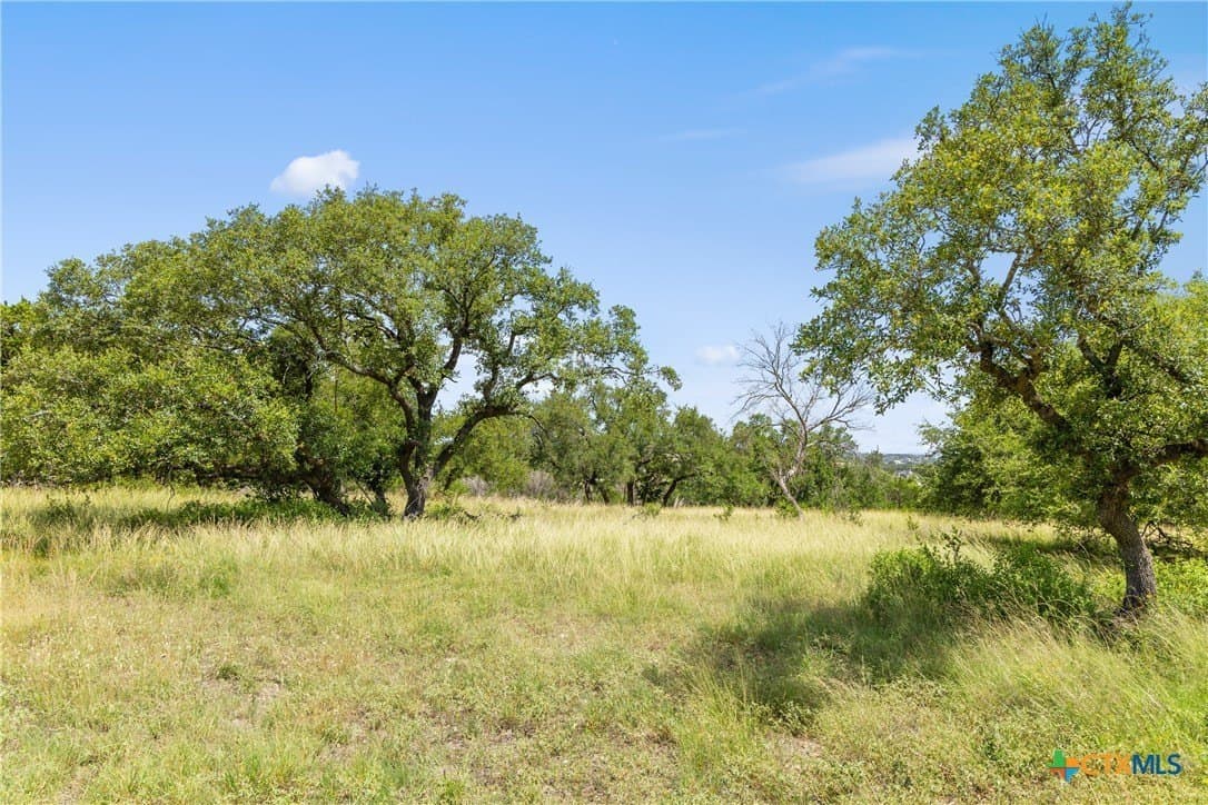 2156 Andalusia lot: 56