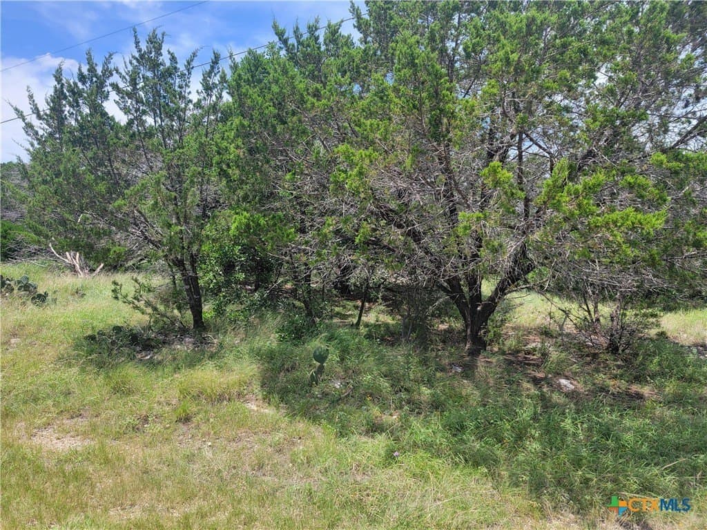 16011 Brazos Drive lot: 535