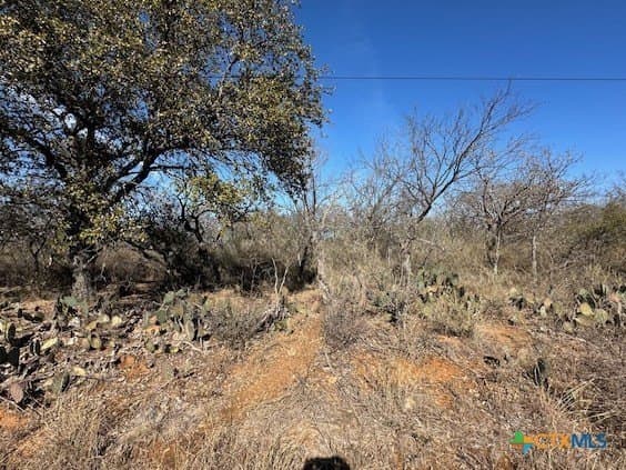 0 TBD Cedar Drive lot: 54