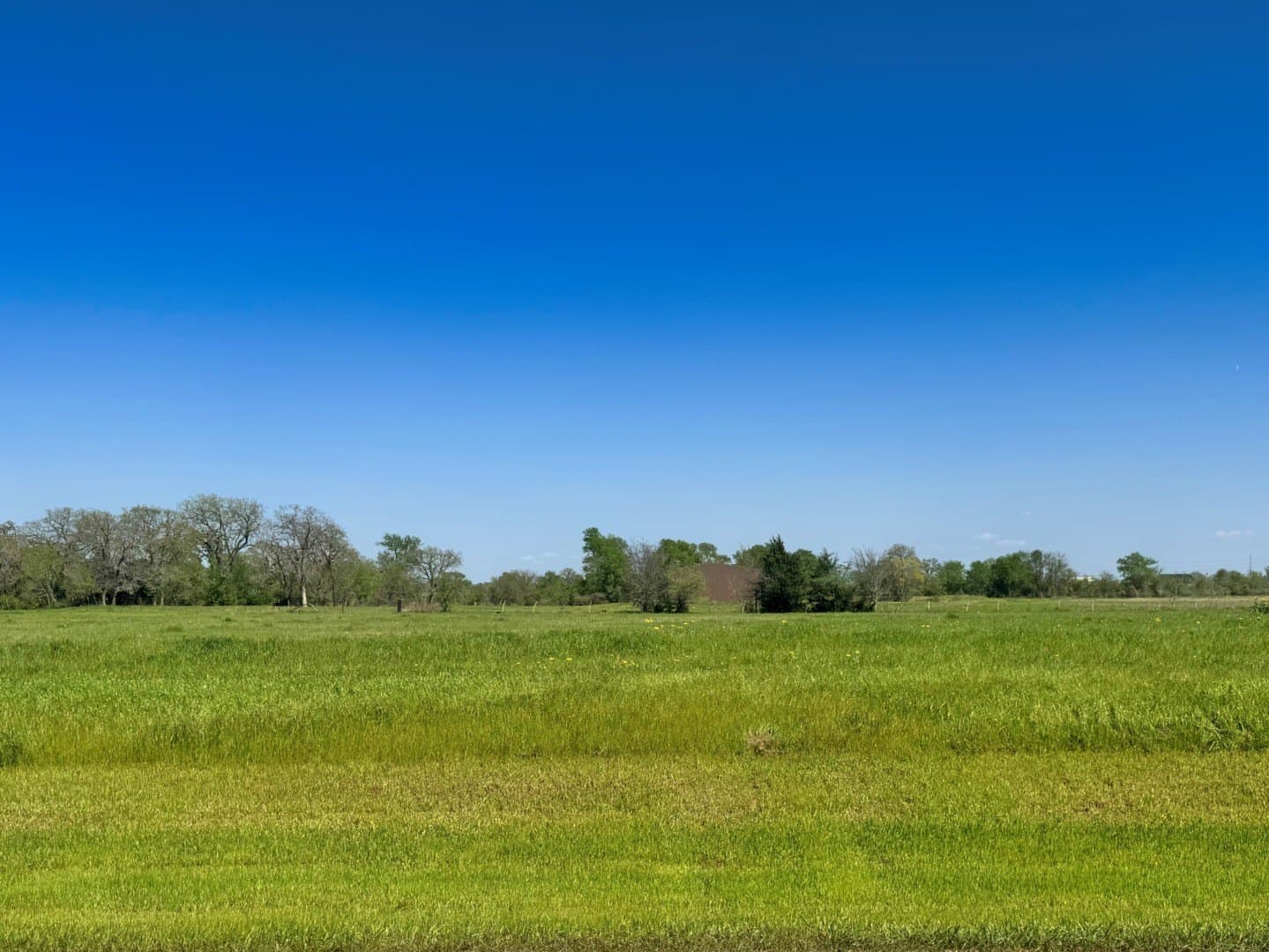 10042 Panther Creek Drive