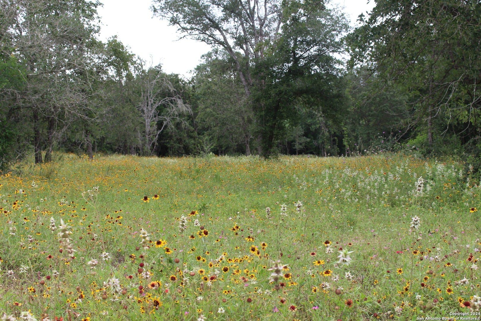 Twin Creeks Rd