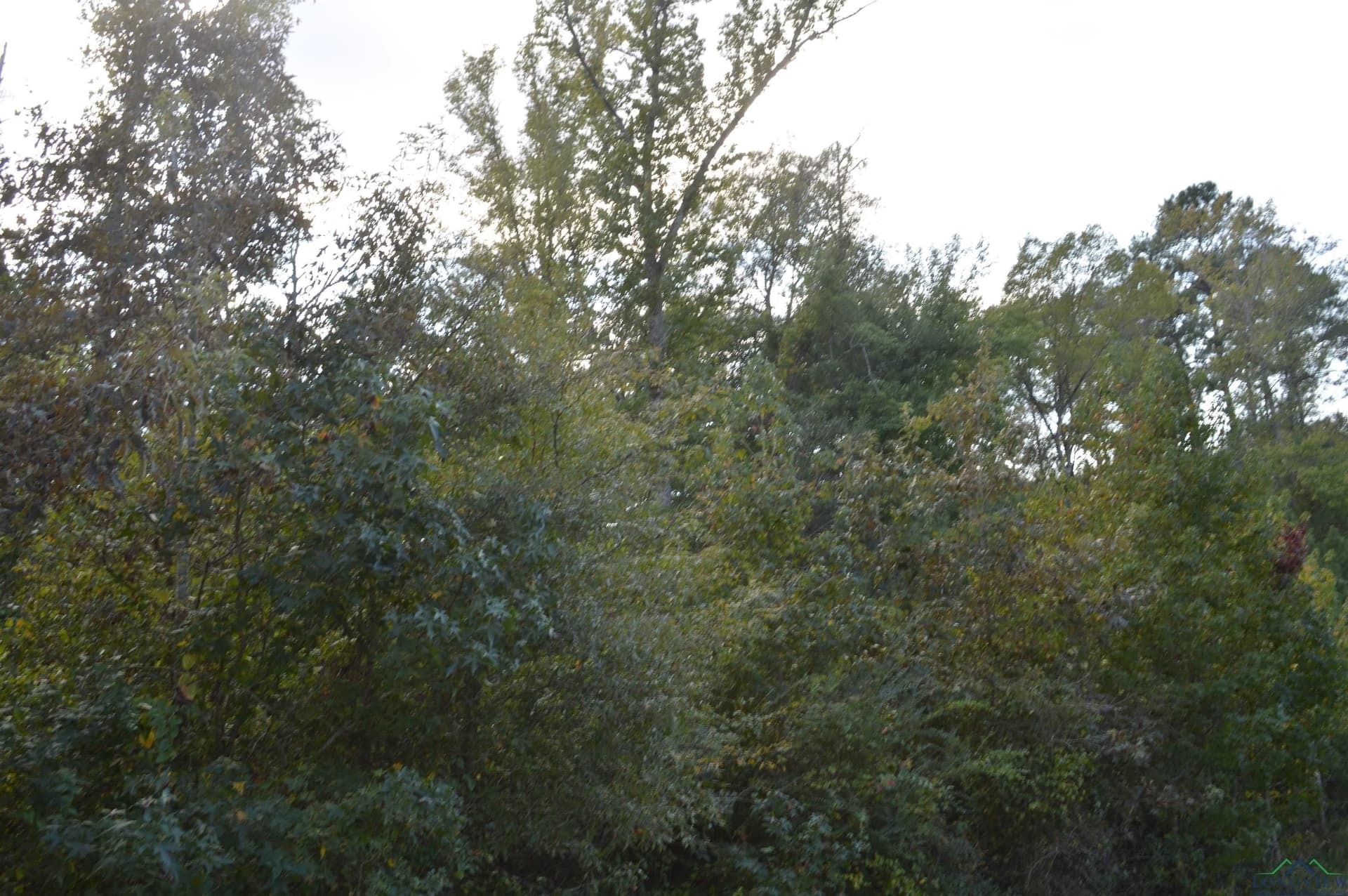 Tbd Shady Grove Rd