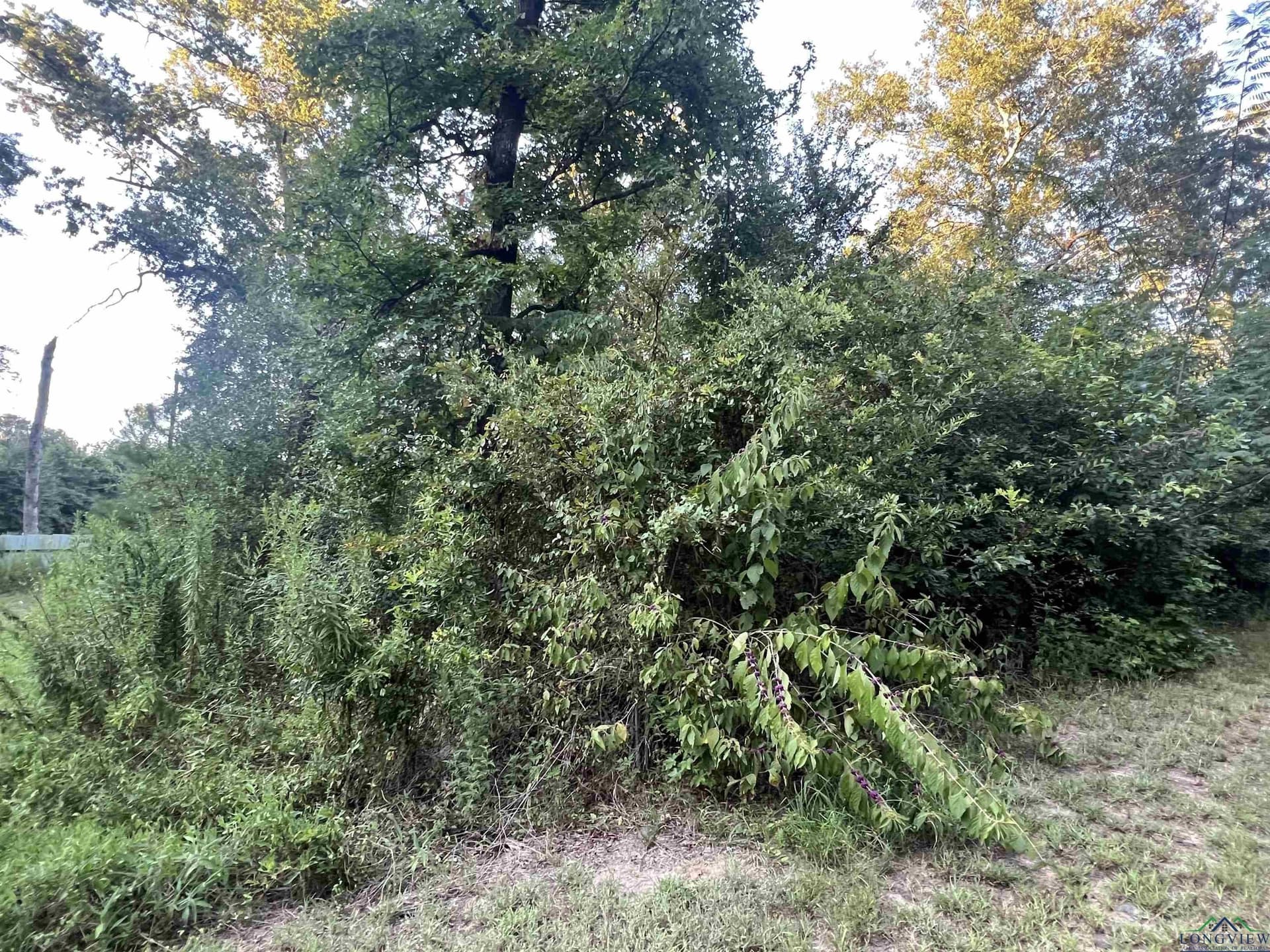 Tbd Willowood Trail