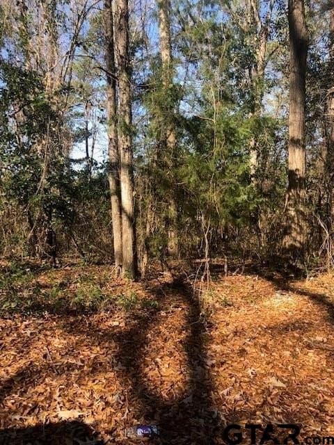 Lot 5 TBD Lewis St